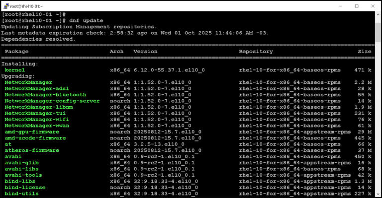 Installing and Updating Packages with DNF - DPC Virtual Tips